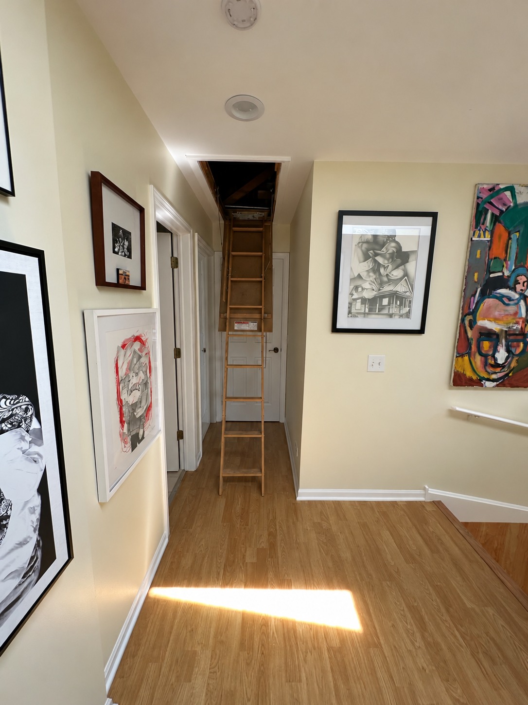 Attic Storage