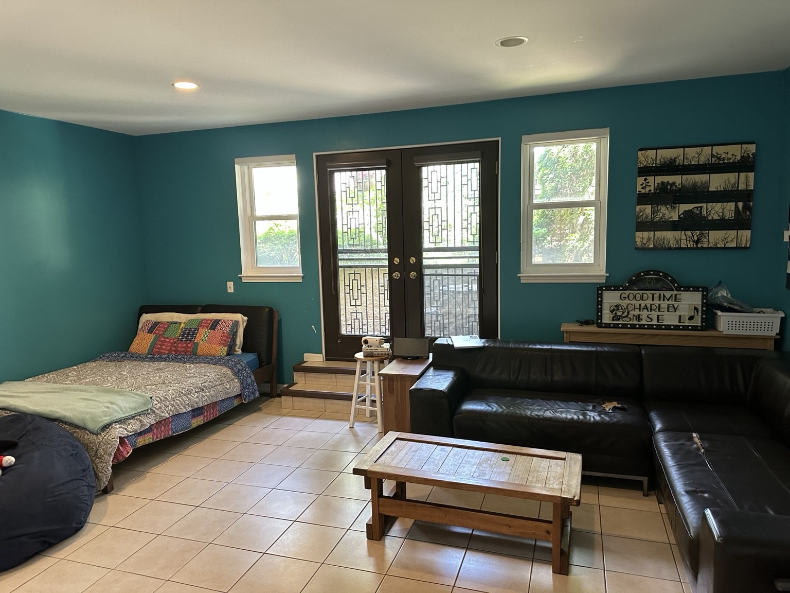 Lower-Level Bedroom / Family Room