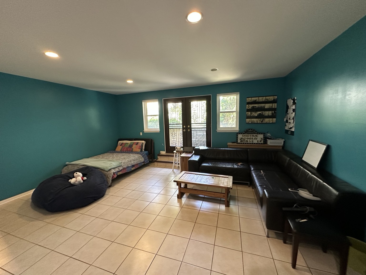 Lower-Level Bedroom / Family Room